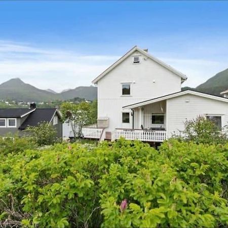 Lovely 1 Bedroom Downstairs Condo With Free Parking Place Svolvær Exterior foto